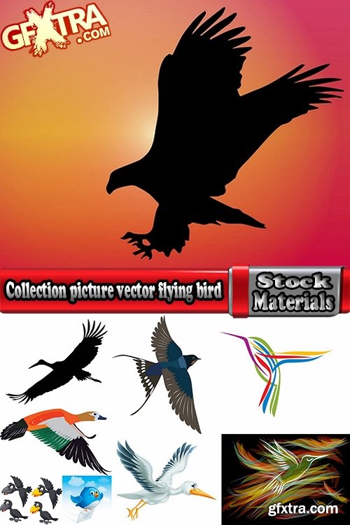 Collection picture vector flying bird 25 Eps