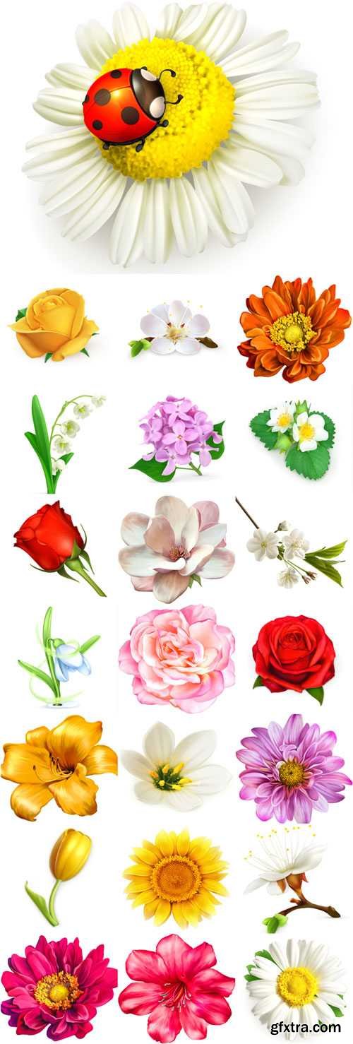 Beautiful flower set vector material