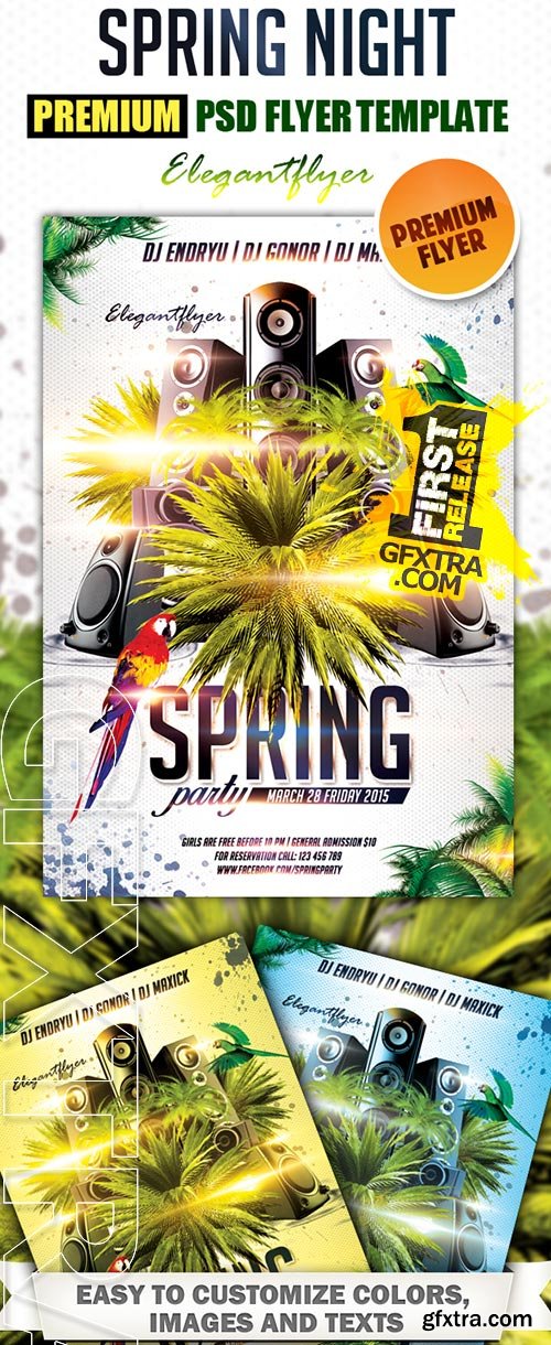 Spring party 2 Premium Club flyer PSD Template