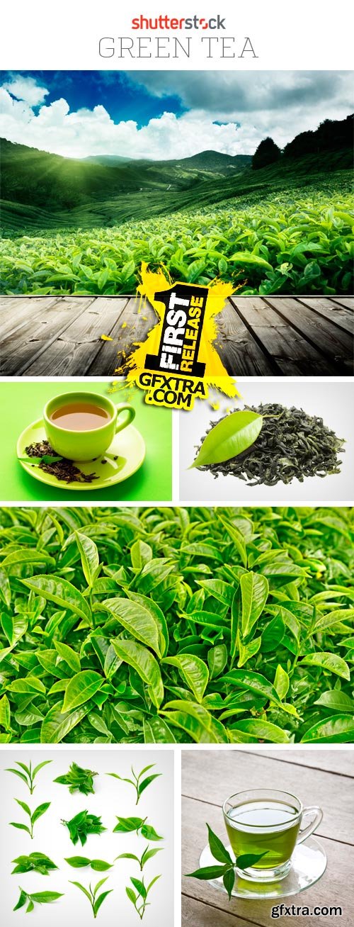 Amazing SS - Green Tea, 25xJPGs