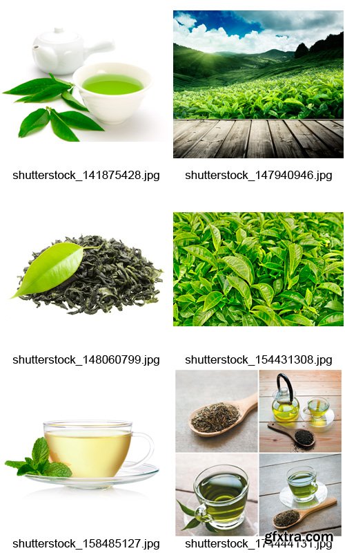 Amazing SS - Green Tea, 25xJPGs