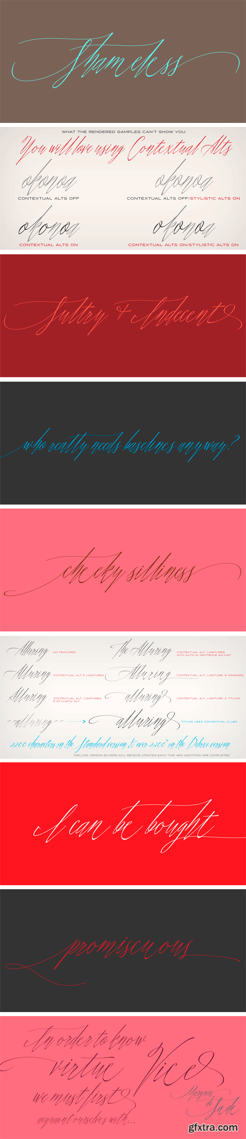 Shameless Font Family $138