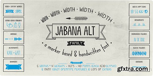 Jabana Alt Font Family - 20 Fonts $146