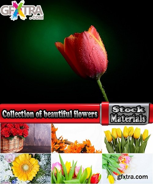 Collection of beautiful flowers #4-25 UHQ Jpeg