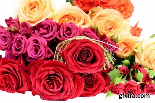 Collection of beautiful flowers #4-25 UHQ Jpeg