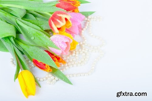 Collection of beautiful flowers #4-25 UHQ Jpeg