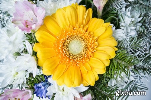 Collection of beautiful flowers #4-25 UHQ Jpeg