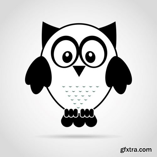 Vector - Owl Bird