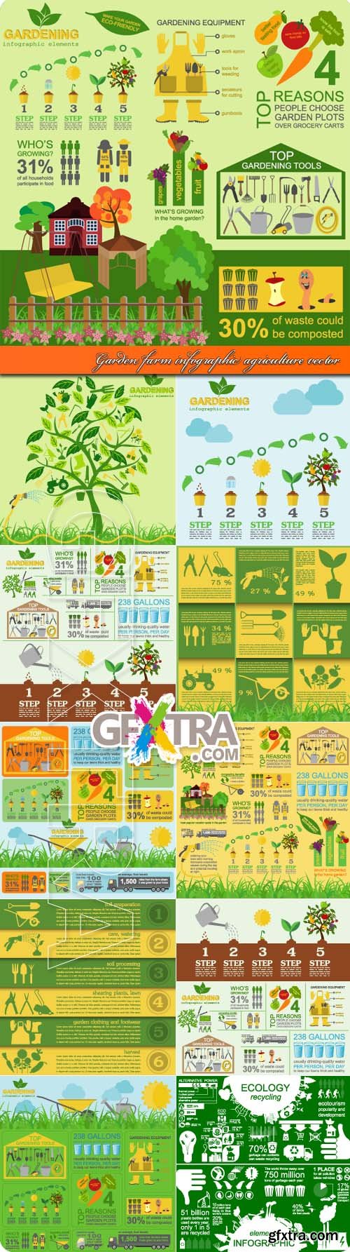 Garden farm infographic agriculture vector