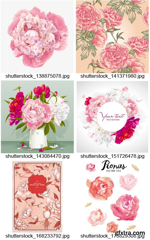 Amazing SS - Peonies Flowers, 25xEPS