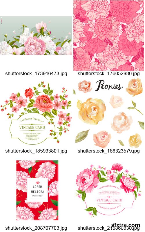 Amazing SS - Peonies Flowers, 25xEPS