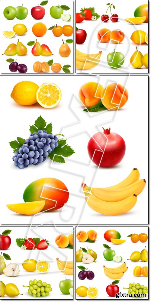 Big group of different fresh fruit - Vector