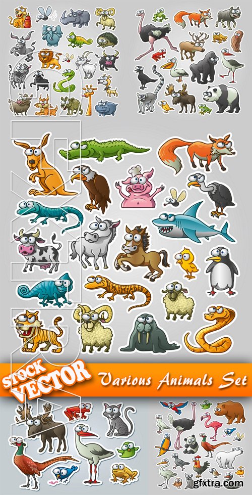 Stock Vector - Various Animals set