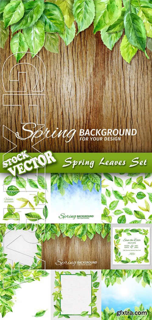 Stock Vector - Spring Leaves Set