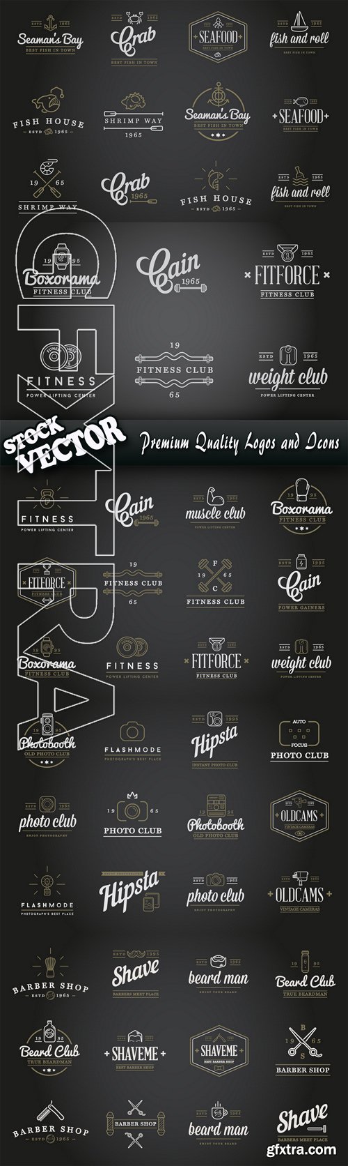 Stock Vector - Premium Quality Logos and Icons