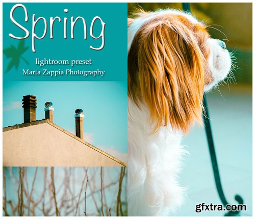 Spring Lightroom Preset