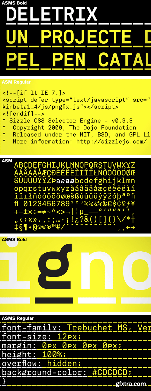 ASM Font Family - 8 Fonts $416