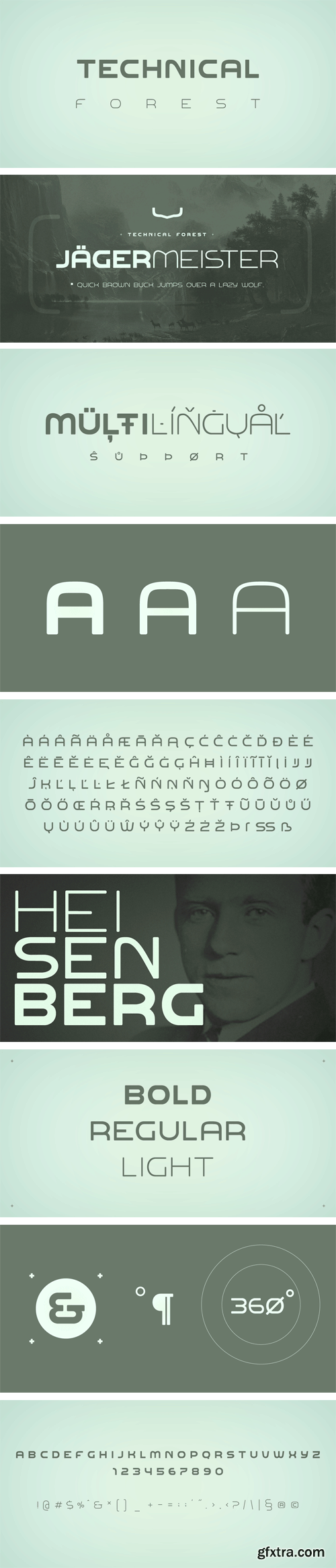 Technical Forest Font Family - 3 Fonts $15