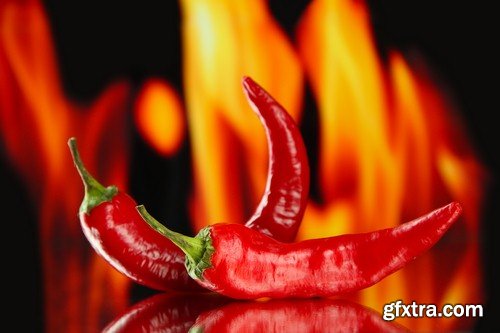 Chili pepper