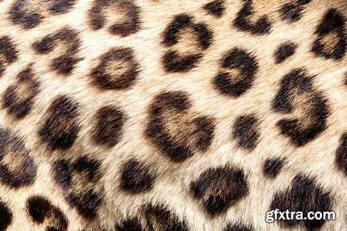 Leopard print