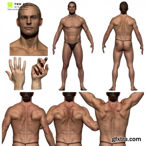 3dscanstore - Colour Male Anatomy Bundle 01