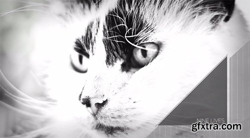 Black and White - After Effects Template