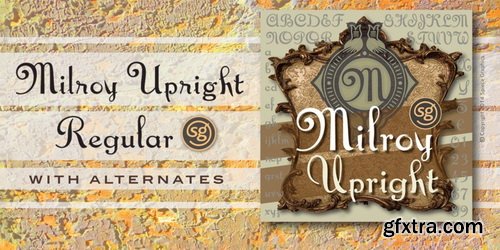 Spiece Graphics Bundle - 60 Font Families $5380