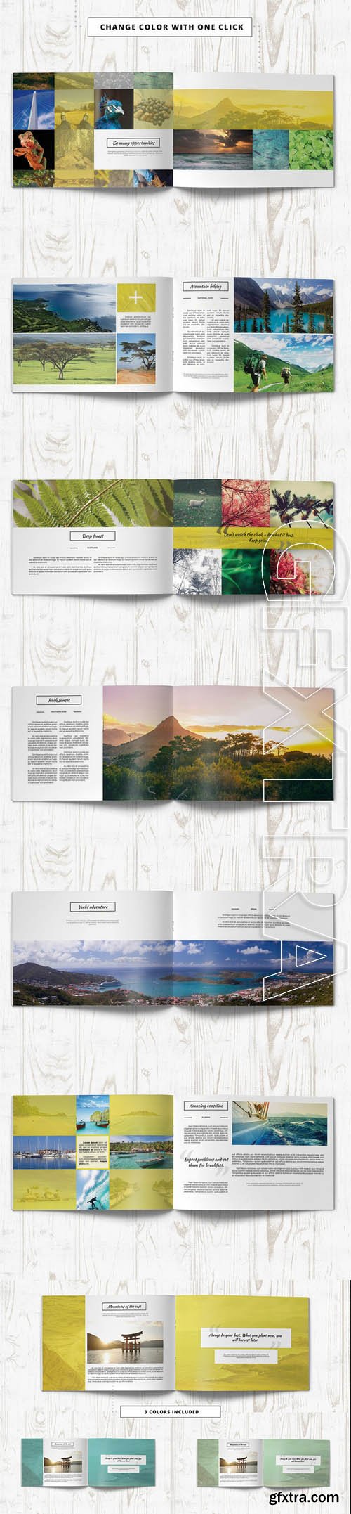 Portfolio Brochure - CM 201505