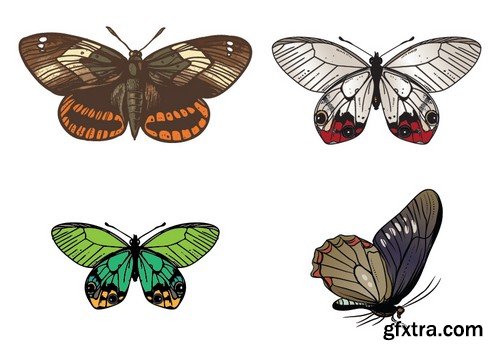 Stock Vectors - Butterfly 5, 25xEPS