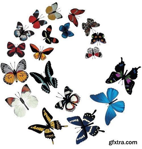 Stock Vectors - Butterfly 5, 25xEPS