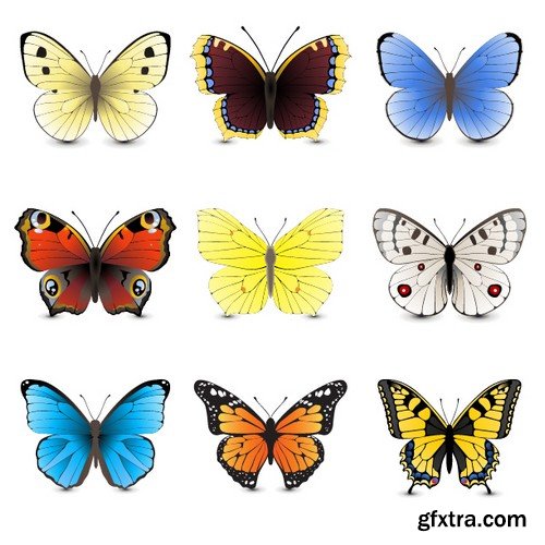 Stock Vectors - Butterfly 5, 25xEPS