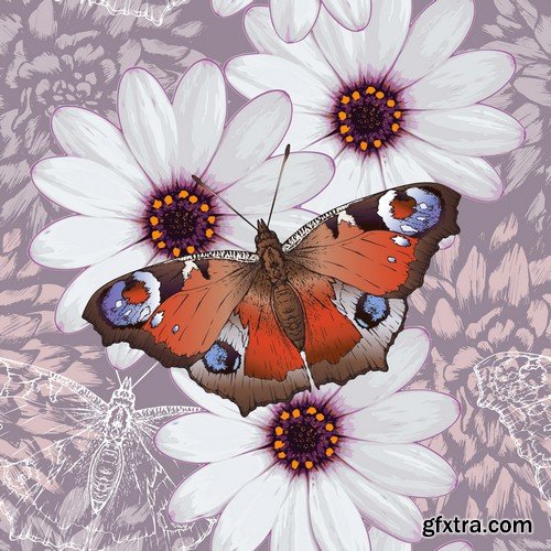 Stock Vectors - Butterfly 5, 25xEPS