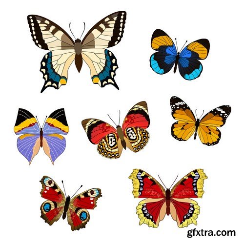 Stock Vectors - Butterfly 5, 25xEPS