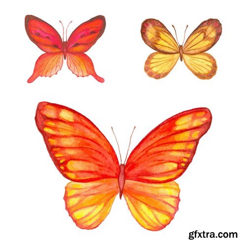 Stock Vectors - Butterfly 5, 25xEPS