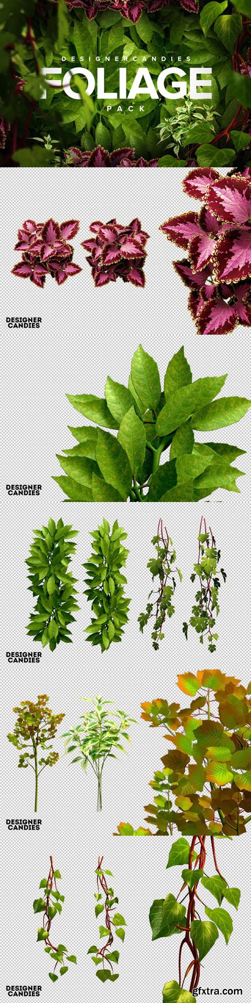 3D Foliage Pack - Transperent PNG