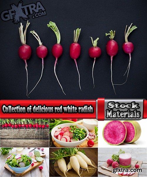 Collection of delicious red white radish salad with radish 25 HQ Jpeg