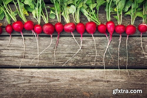 Collection of delicious red white radish salad with radish 25 HQ Jpeg