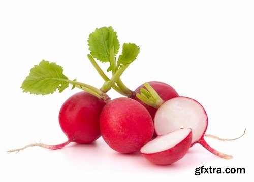 Collection of delicious red white radish salad with radish 25 HQ Jpeg