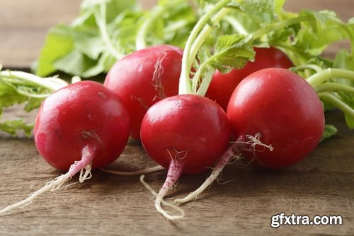 Collection of delicious red white radish salad with radish 25 HQ Jpeg