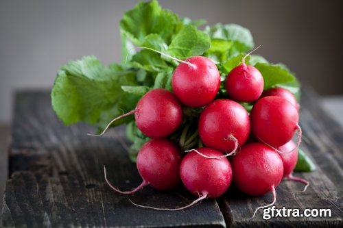 Collection of delicious red white radish salad with radish 25 HQ Jpeg