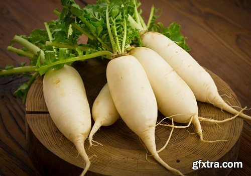 Collection of delicious red white radish salad with radish 25 HQ Jpeg