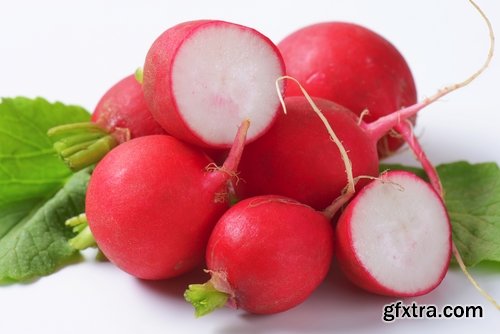 Collection of delicious red white radish salad with radish 25 HQ Jpeg