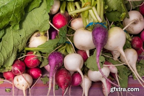 Collection of delicious red white radish salad with radish 25 HQ Jpeg