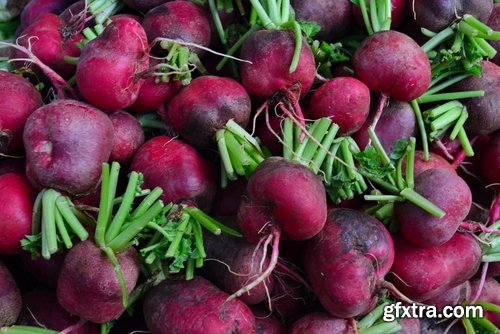 Collection of delicious red white radish salad with radish 25 HQ Jpeg