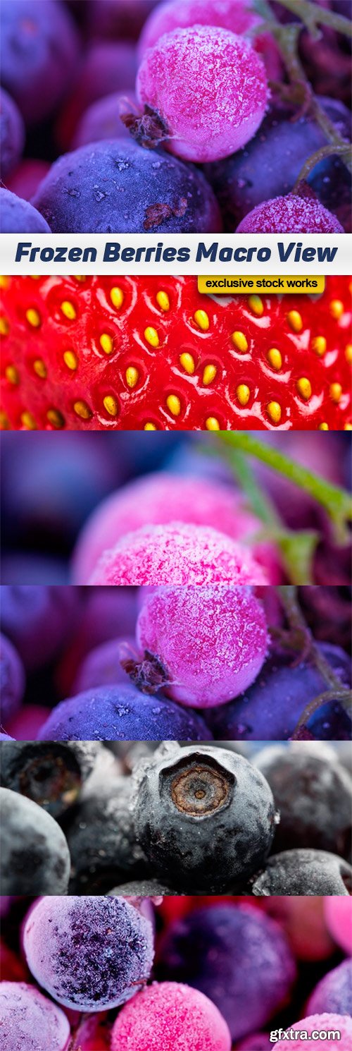 Berries Macro View - 5x JPEG