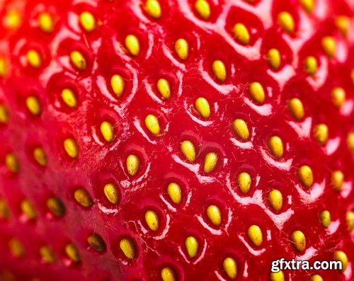 Berries Macro View - 5x JPEG