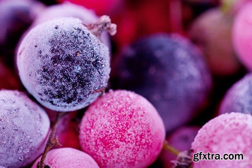 Berries Macro View - 5x JPEG