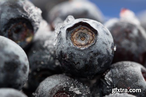 Berries Macro View - 5x JPEG