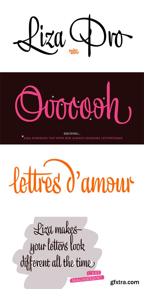 Liza Font Family - 5 Fonts $365