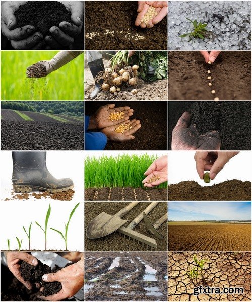 Collection farming seeding plants sprout earth bed 25 HQ Jpeg